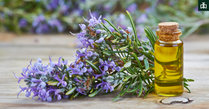 Rosemary Benefits