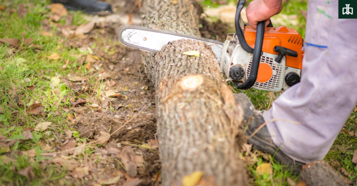 cutting trees