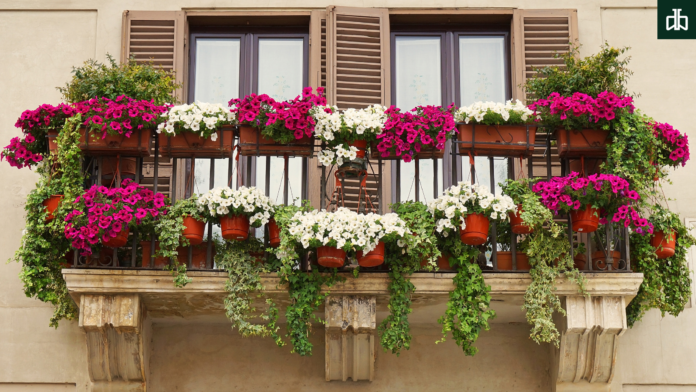 balcony decor