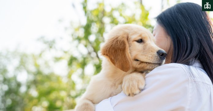 Healing Power of Pets