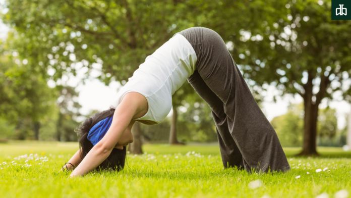 dolphin pose